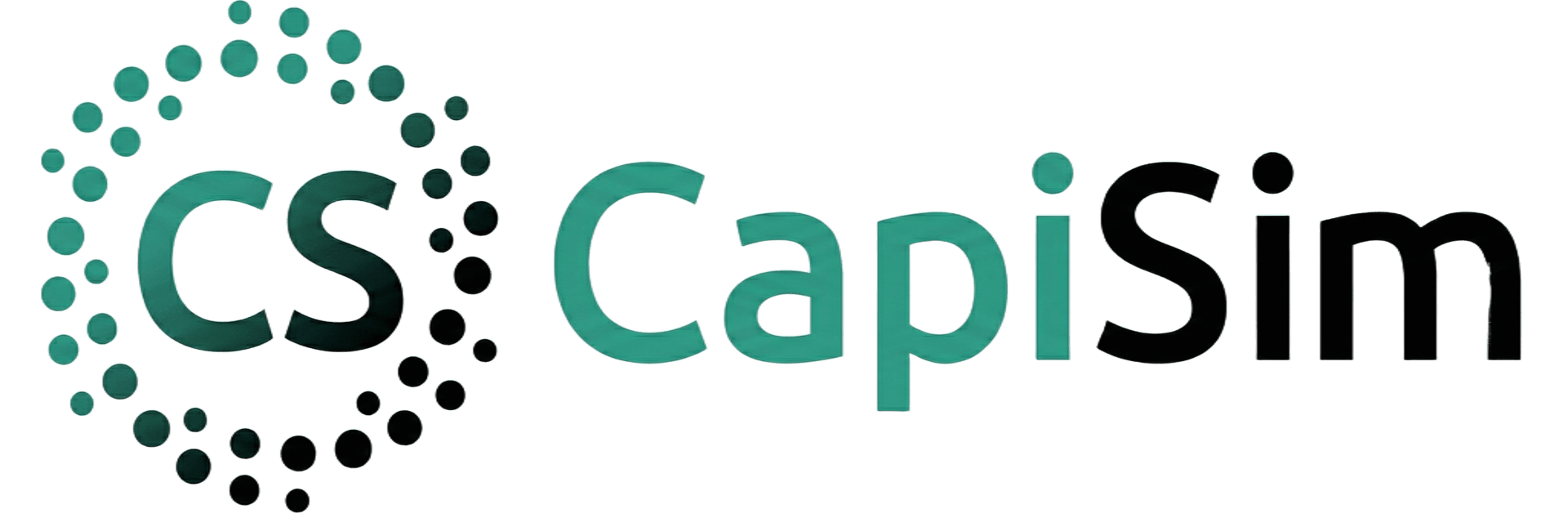 CapiSim